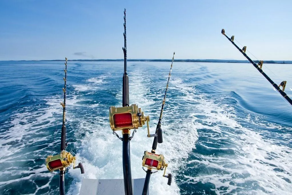 Sea fishing